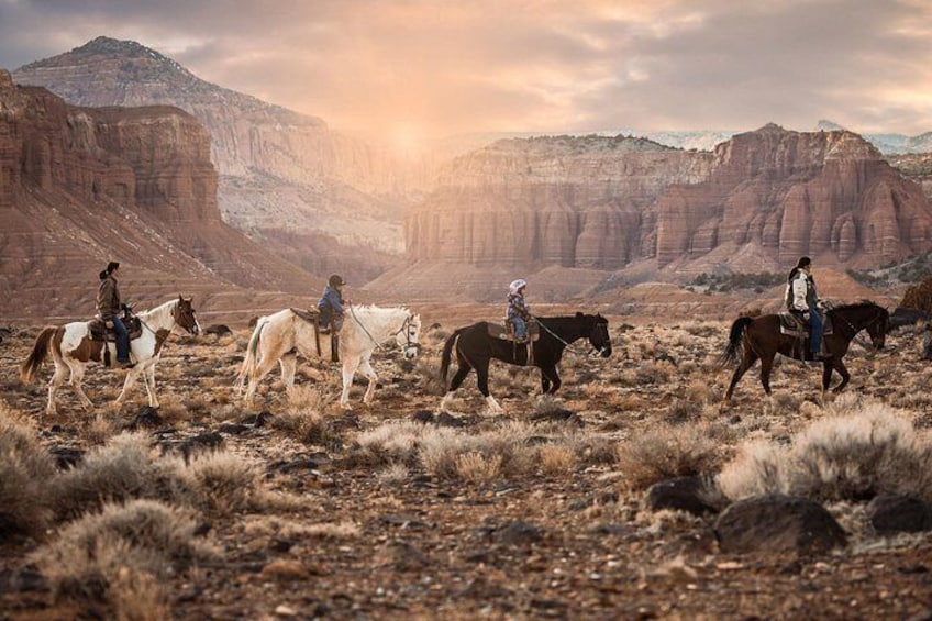 1-Hour Western Horse Ride 3