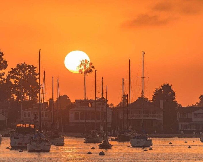 Un atardecer sobre un puerto deportivo con varios veleros anclados en el agua. 4