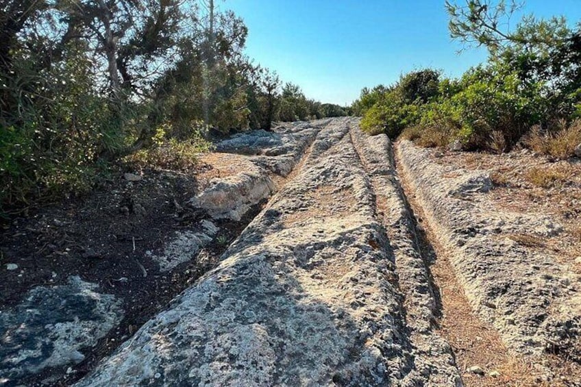 Un sentiero sterrato con solchi di pneumatici, circondato da vegetazione rada e alberi. 2