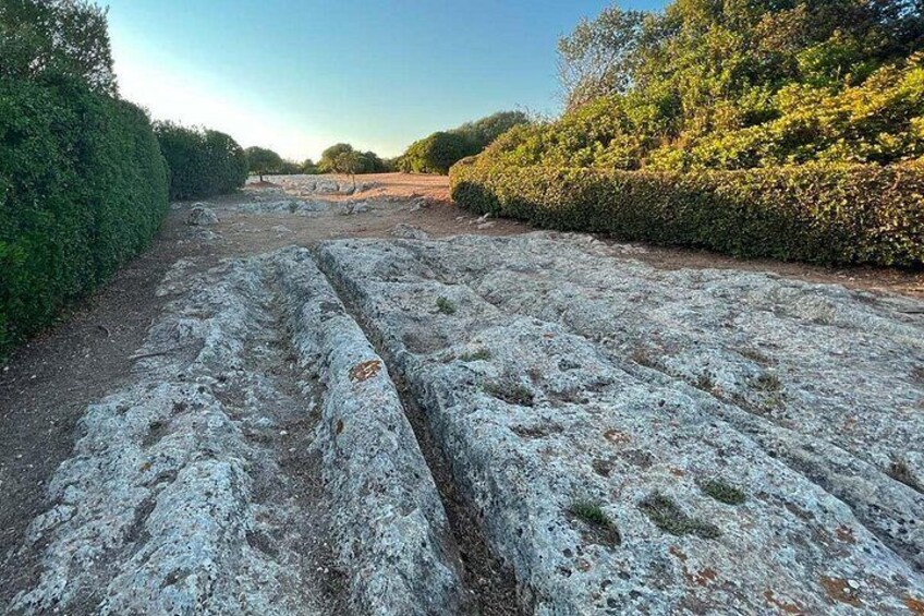 Un sentiero di pietra con gradini che si inoltra in un paesaggio naturale. 3