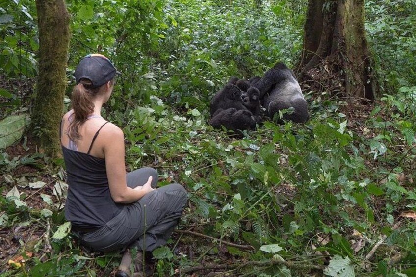 Multi Day Private Gorillas and Chimpanzee Trekking Tour in Uganda 4