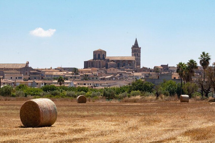 Sineu (Wednesdays) 3