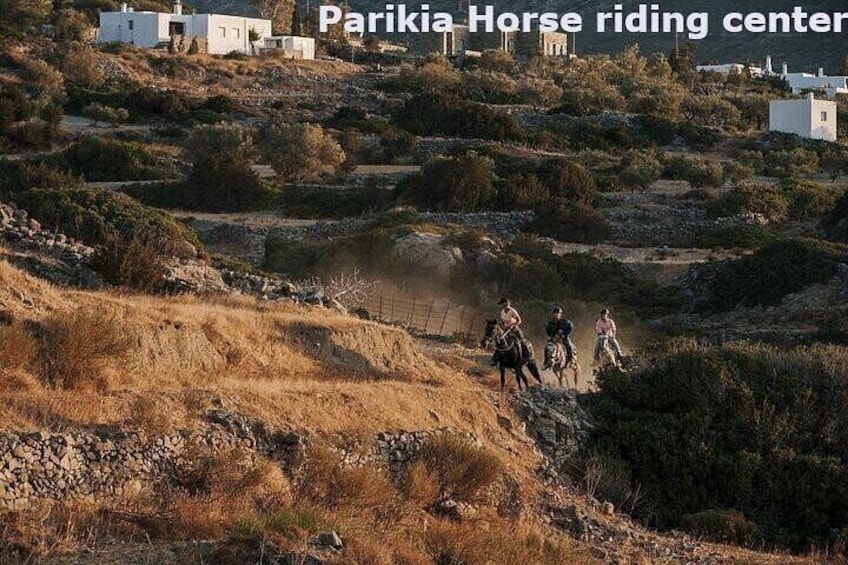 - Parikia Horse riding center - 2