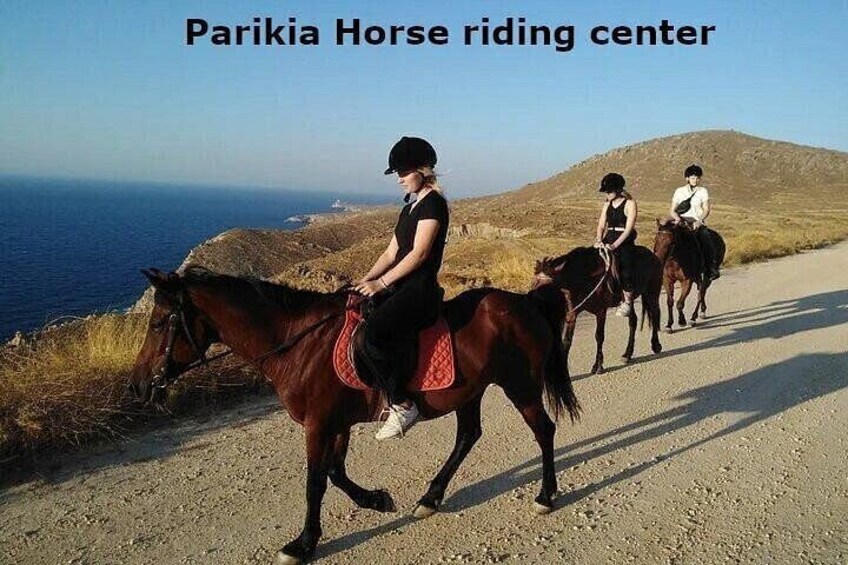 - Parikia Horse riding center - 1