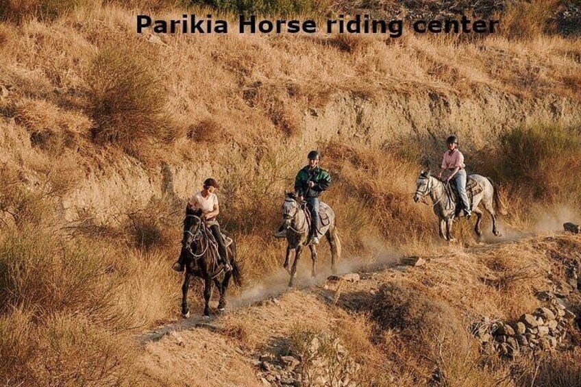 - Parikia Horse riding center - 4