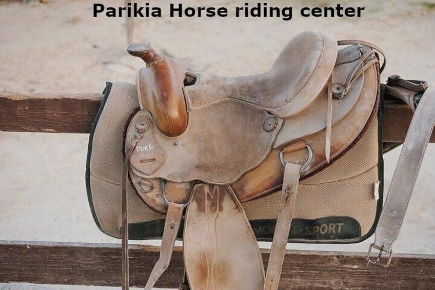 - Parikia Horse riding center - 3