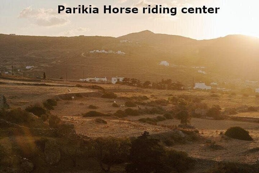 - Parikia Horse riding center - 5