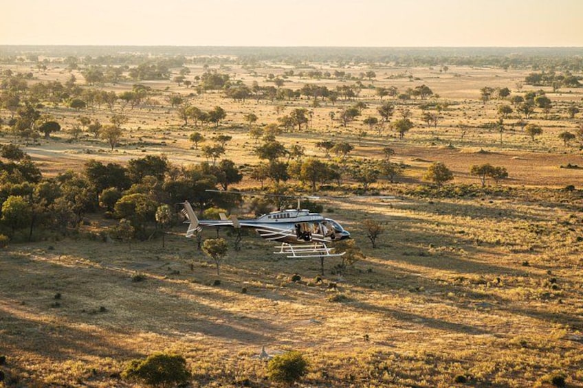 Un hélicoptère survolant une savane, avec quelques arbres clairsemés et de vastes champs ouverts. 5