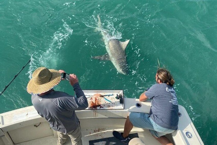 8 Hour Shared Offshore Fishing Adventure in Key West 3