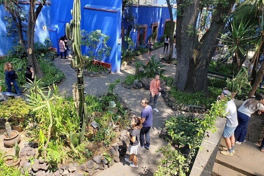 Un jardín con diversas plantas y un cactus, personas caminando y un edificio azul al fondo. 2