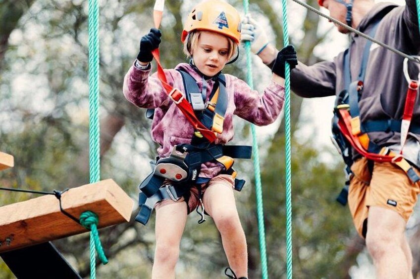 Canberra Junior Tree Ropes Course 2