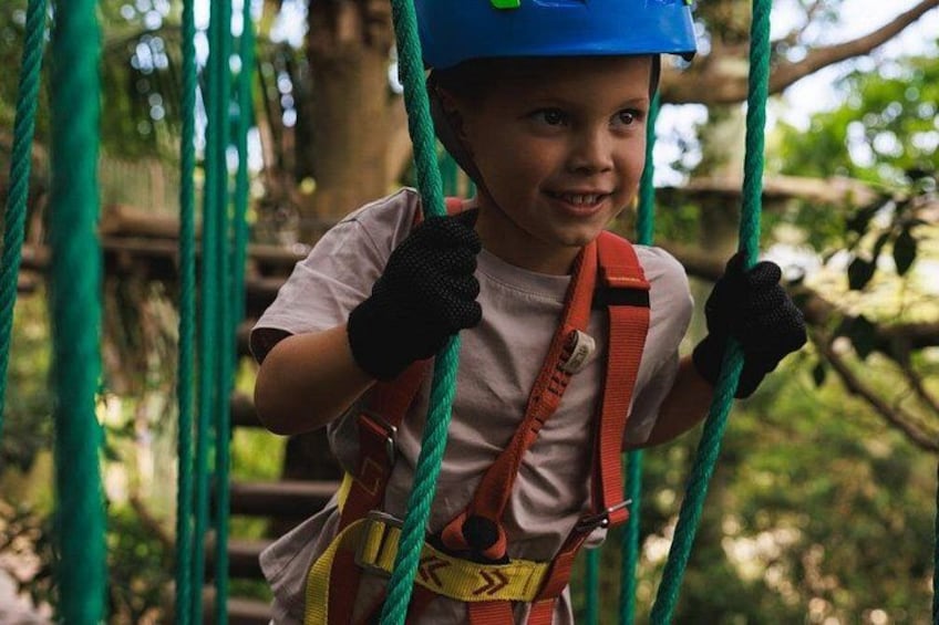 Canberra Junior Tree Ropes Course 3