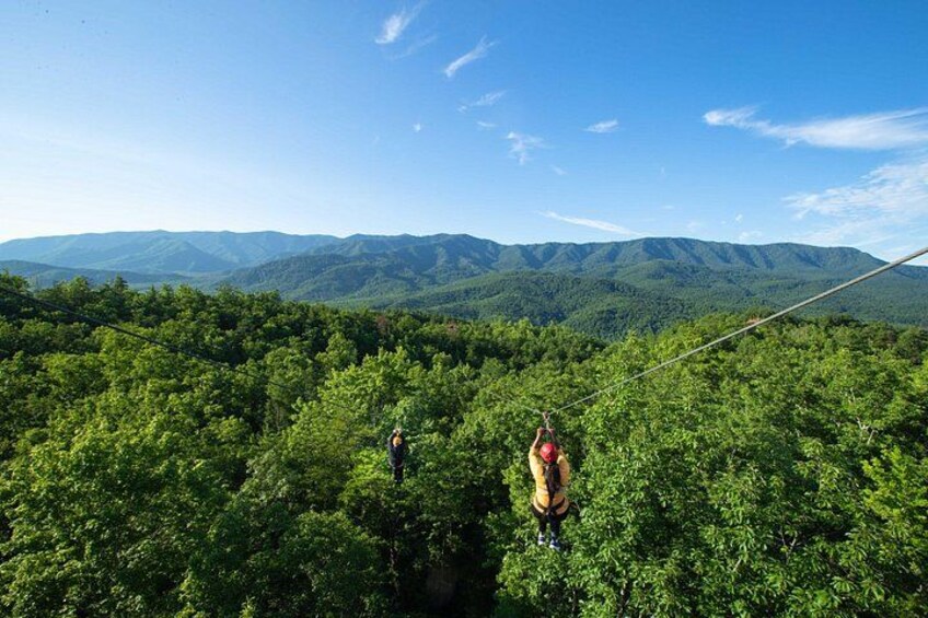 A person bungee jumping from a bridge over a forested area with mountains in the background. 2
