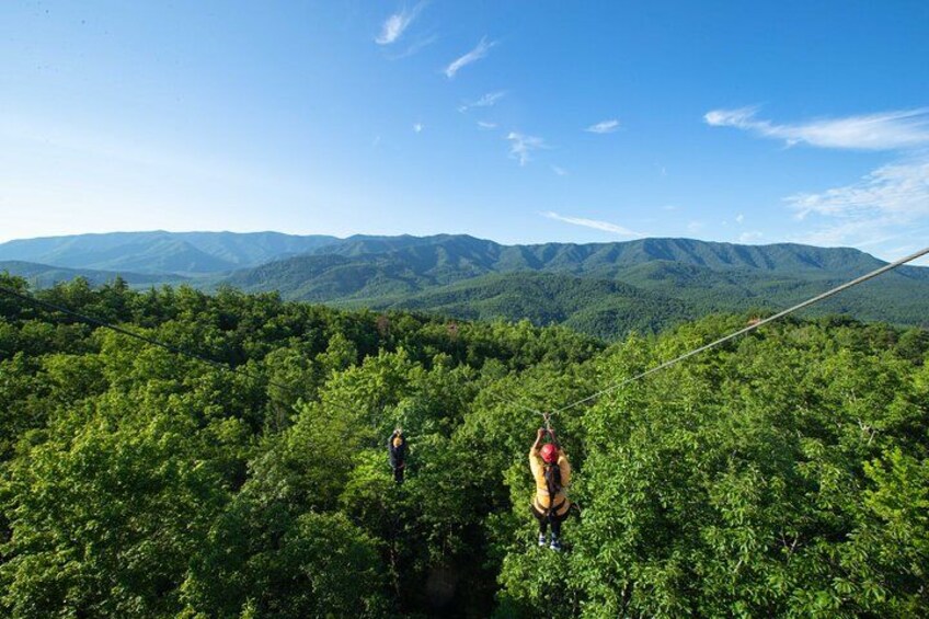 Una persona haciendo bungee jumping desde una rama de árbol, con un bosque y montañas al fondo. 2