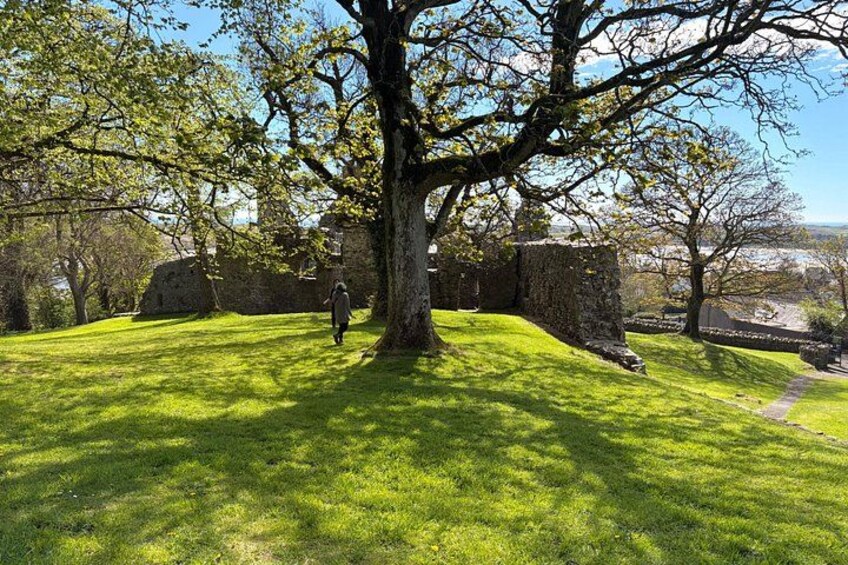 Un grand arbre se dresse dans une zone herbeuse, avec des ruines de pierre en arrière-plan. 4