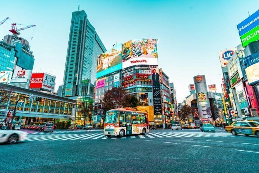 Tokyo Private 5 hours Layover Tour with Guide 2