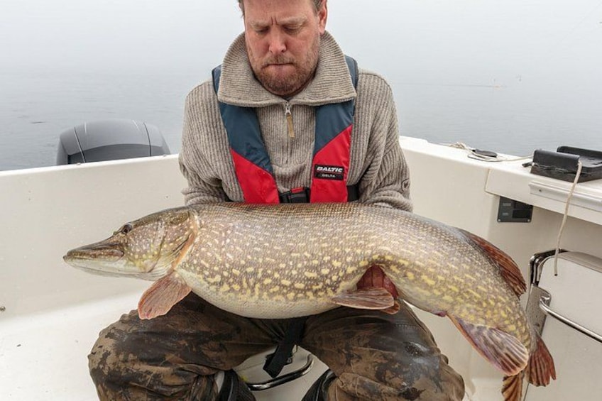A person holding a large fish on a boat. 2
