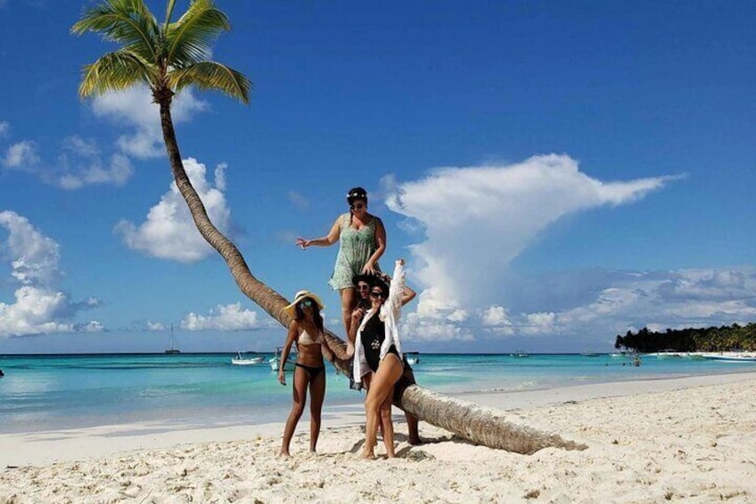 Une plage où l’on voit des personnes debout près d’un palmier. 3