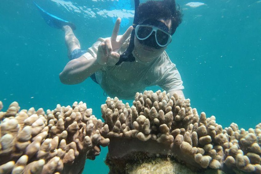 Eine Person beim Schnorcheln unter Wasser mit Korallenformationen. 2