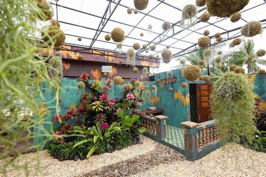 A greenhouse with hanging spherical objects, a variety of plants, and a wooden bench. 2
