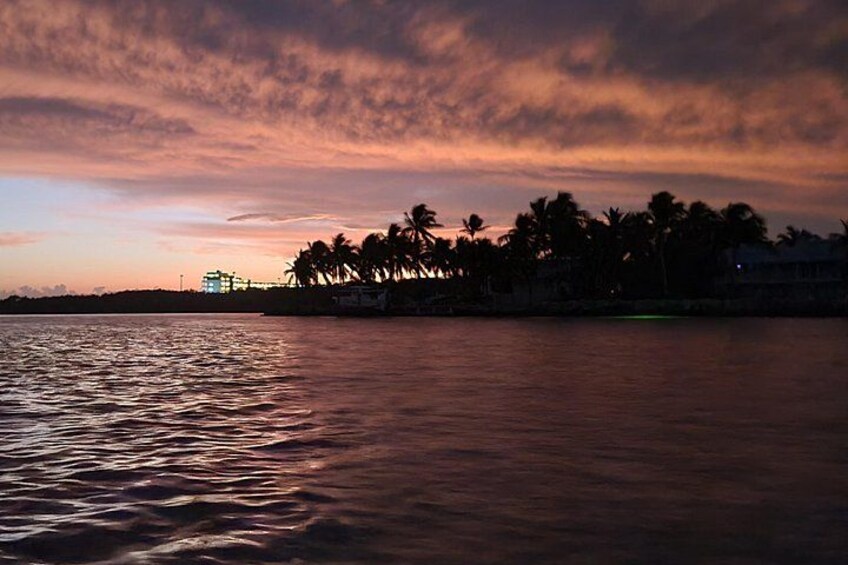 Atardecer sobre una masa de agua con palmeras silueteadas contra el cielo. 4