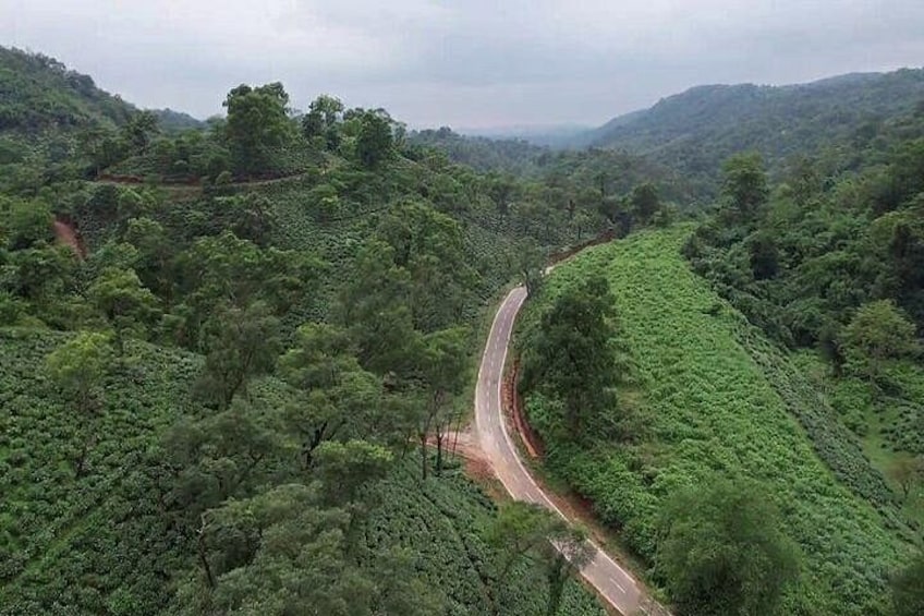 A winding road through a lush green landscape with dense vegetation on both sides. 1