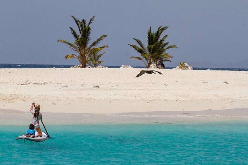 Jost Van Dyke - Sandy Spit & Soggy Dollar Sailing Tour in the BVI 2
