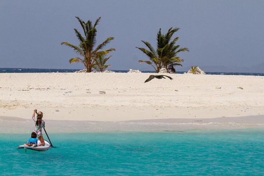 Jost Van Dyke - Sandy Spit & Soggy Dollar Sailing Tour in the BVI 3
