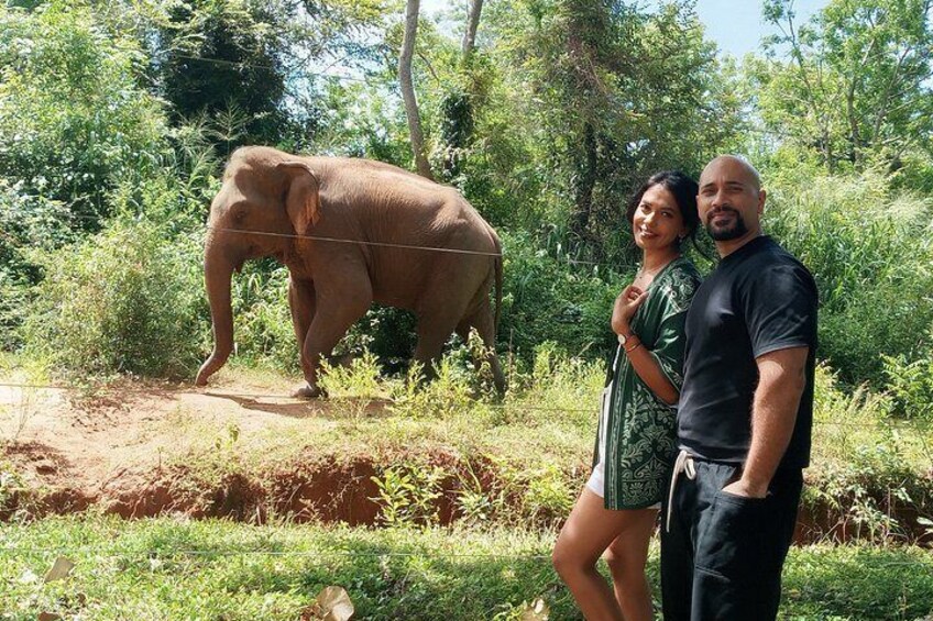 Private Transfer from Mirissa, Weligama to Ella Udawalawa Safari 2