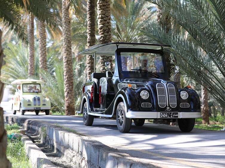 A vintage car driving on a road lined with palm trees. 1