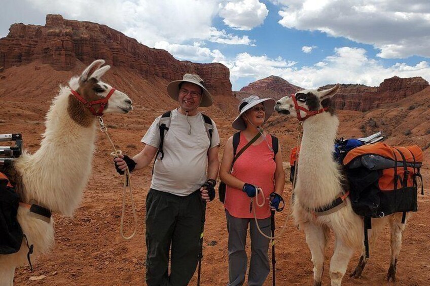 Two llamas with saddles, a person in a pink shirt, and another in a white shirt with a hat, standing in a desert landscape. 4