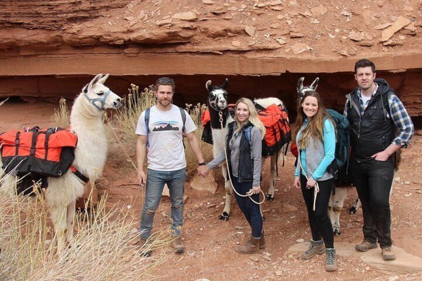 A group of people with llamas in a rocky outdoor setting. 3