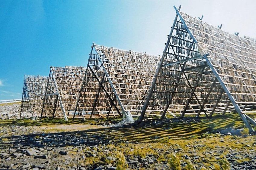 Sensational Svolvær: A Self-Guided Tour of Lofoten’s Capital 3