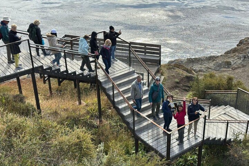 A wooden staircase leading down to a beach with people walking. 1