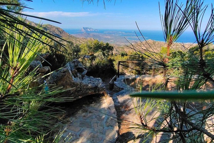 Explore the Scenic Jeep Tour from San Teodoro to Rio Pitrisconi 5