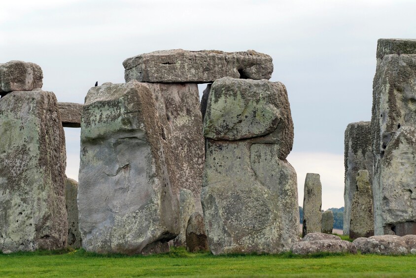 Stonehenge kohoaa vehreällä niityllä. 5