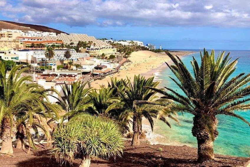 Un pueblo costero con playa, palmeras y edificios. 3