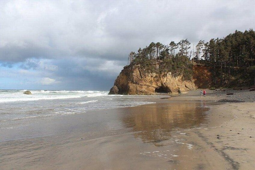 Oregon Coast Scenic Day Tour 3