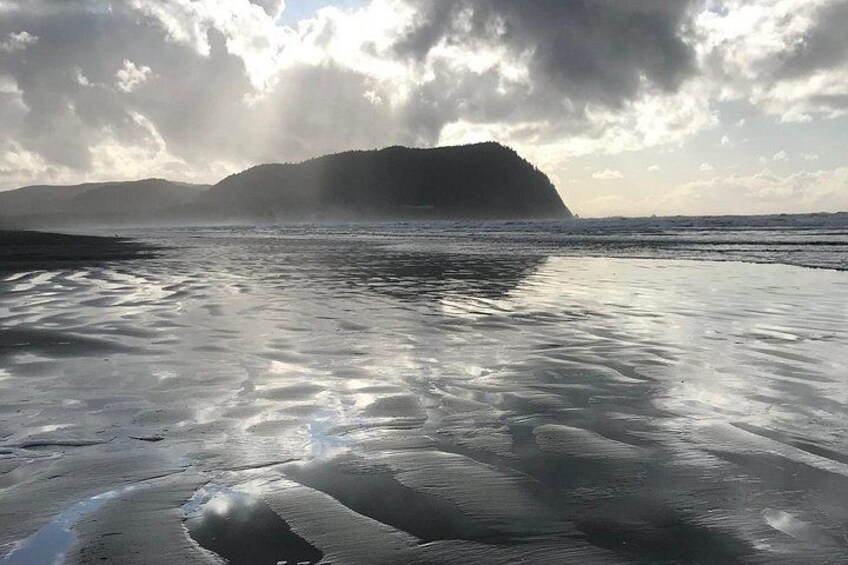 Oregon Coast Scenic Day Tour 1