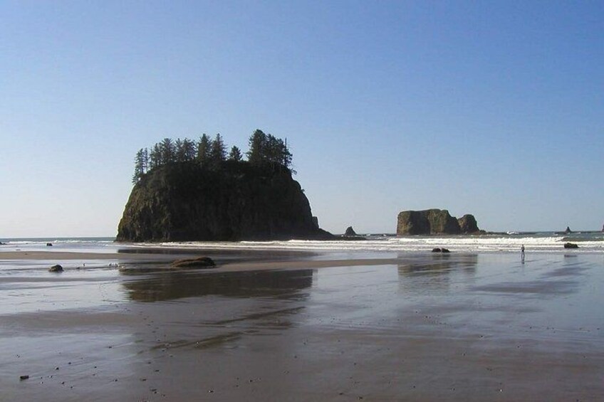 Oregon Coast Scenic Day Tour 2