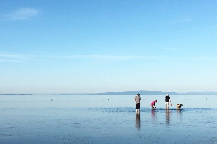 A group of people standing in shallow water on a beach with a clear sky and distant landforms. 2