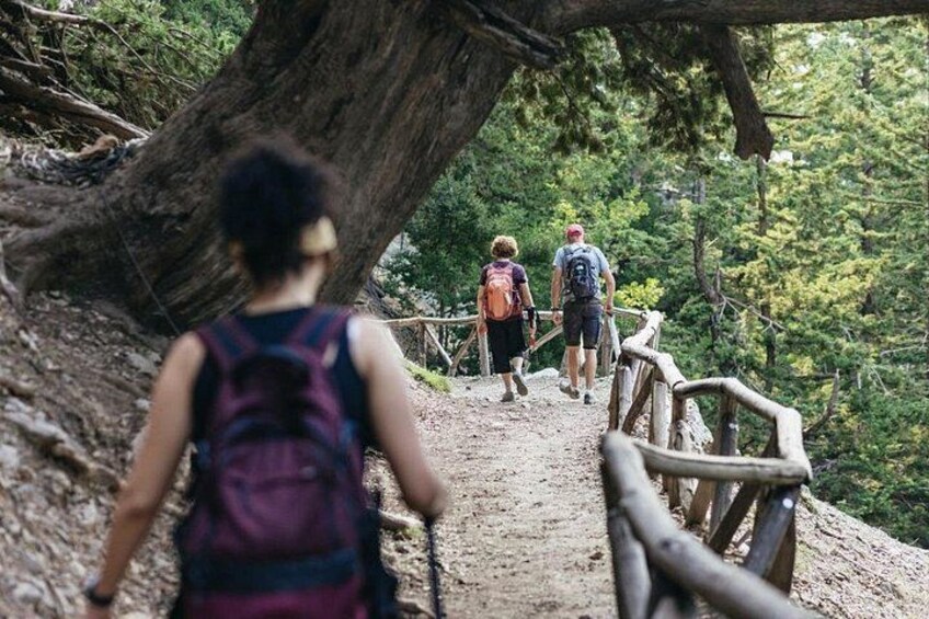 A person hiking on a dirt trail with wooden railings, surrounded by trees. 4