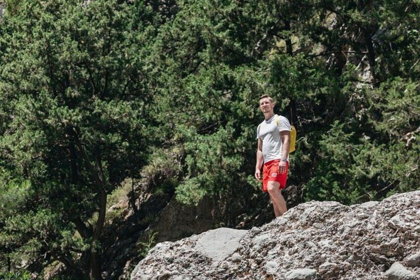 A person hiking on a rocky trail with dense green trees in the background. 5