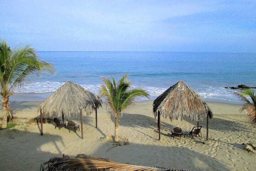Mancora: Full day in Tumbes with Mangroves and Beaches