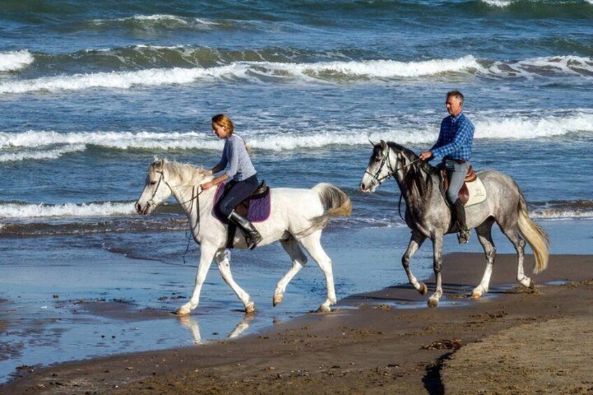 Casablanca Beach Horseback Riding Experience with Hotel Transfers 2