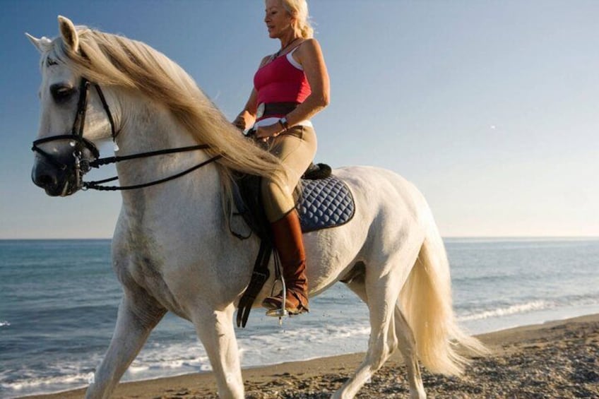 A woman riding a white horse on a beach with the ocean in the background. 3