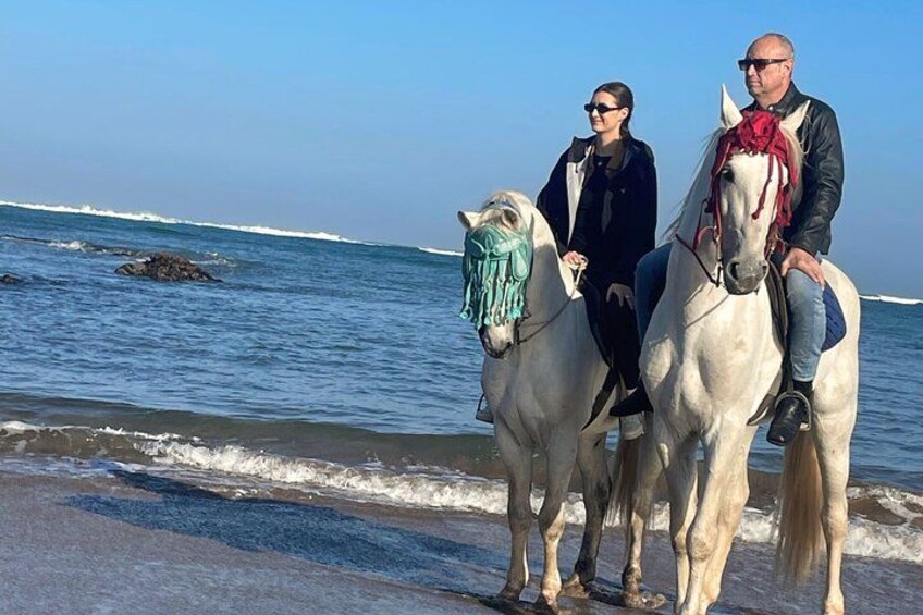 Casablanca Beach Horseback Riding Experience with Hotel Transfers 2