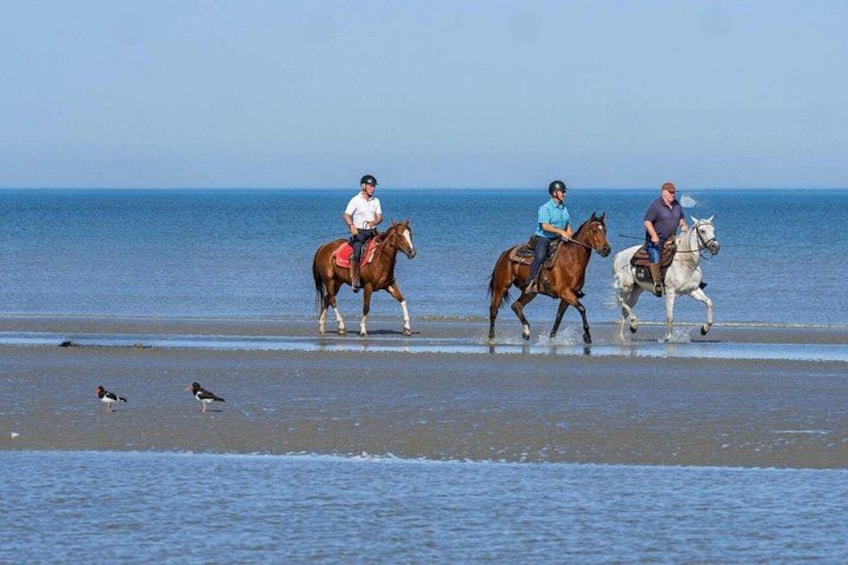 Casablanca Beach Horseback Riding Experience with Hotel Transfers 2