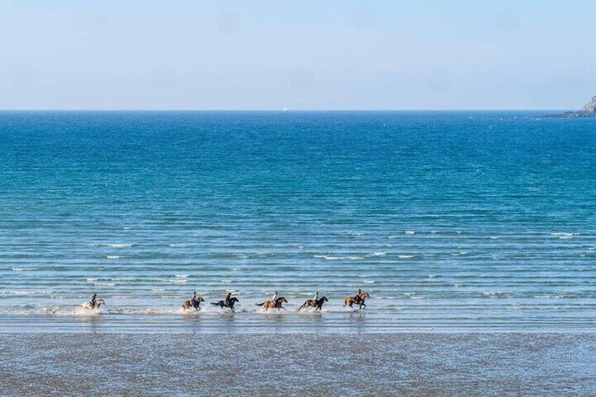 Un grupo de caballos corriendo en el agua cerca de la orilla. 2