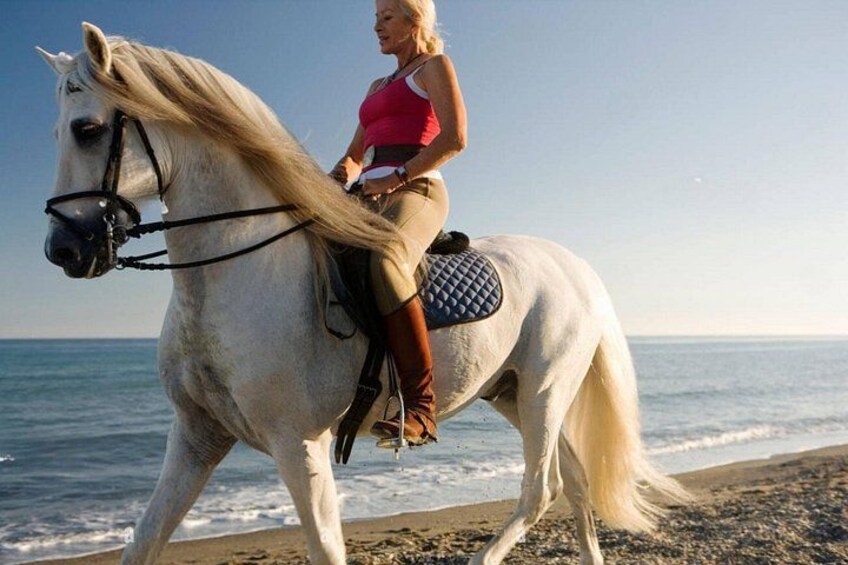 Casablanca Beach Horseback Riding Experience with Hotel Transfers 4